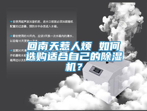 回南天惹人煩 如何選購適合自己的除濕機?