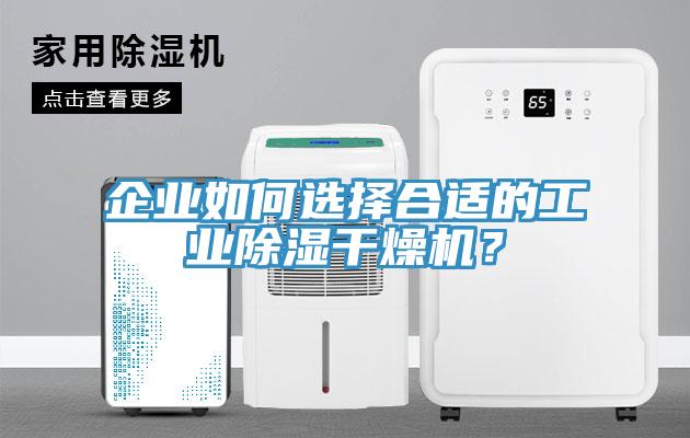 企業如何選擇合適的工業除濕干燥機?