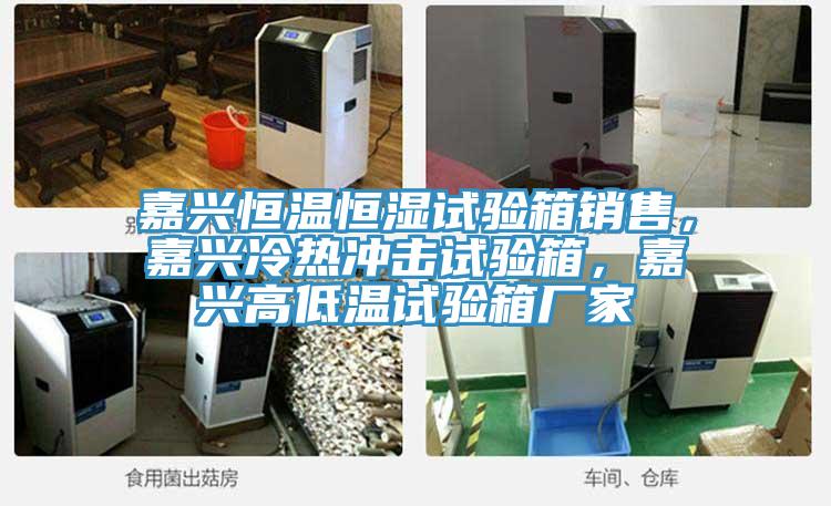 嘉興恒溫恒濕試驗(yàn)箱銷(xiāo)售,嘉興冷熱沖擊試驗(yàn)箱,嘉興高低溫試驗(yàn)箱廠家