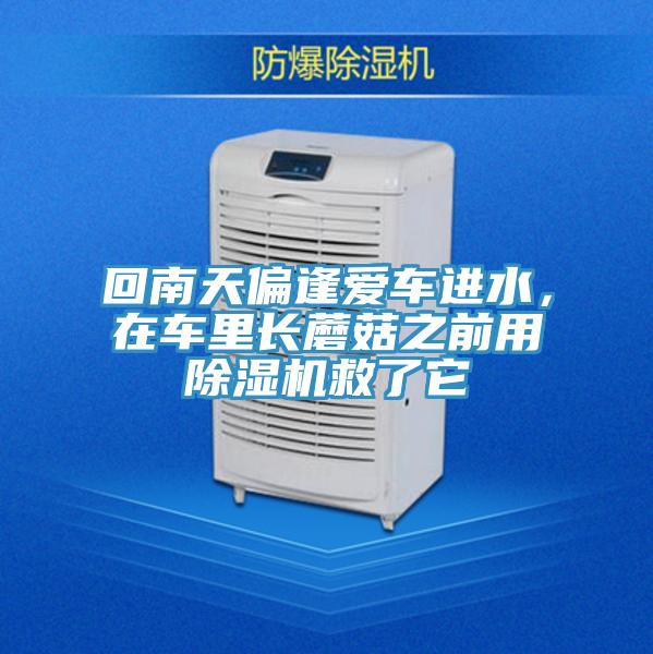 回南天偏逢愛車進(jìn)水,在車?yán)镩L蘑菇之前用除濕機救了它