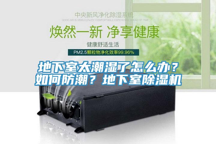 地下室太潮濕了怎么辦?如何防潮?地下室除濕機(jī)