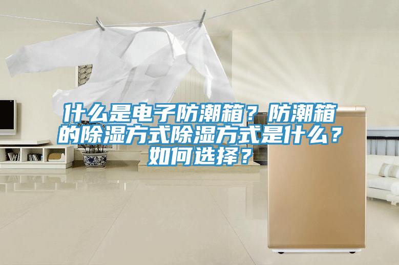 什么是電子防潮箱?防潮箱的除濕方式除濕方式是什么?如何選擇?