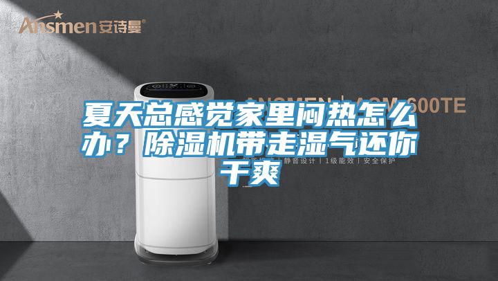 夏天總感覺家里悶熱怎么辦?除濕機帶走濕氣還你干爽