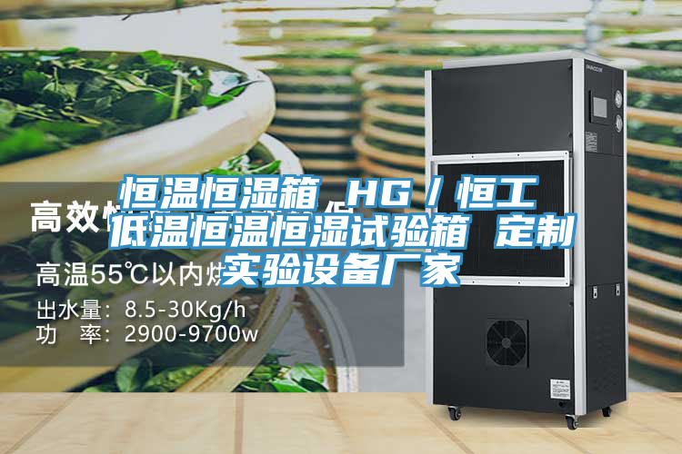 恒溫恒濕箱 HG/恒工 低溫恒溫恒濕試驗箱 定制實驗設備廠家