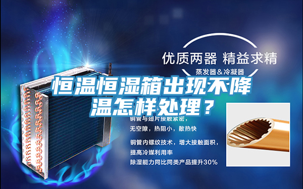 恒溫恒濕箱出現(xiàn)不降溫怎樣處理?