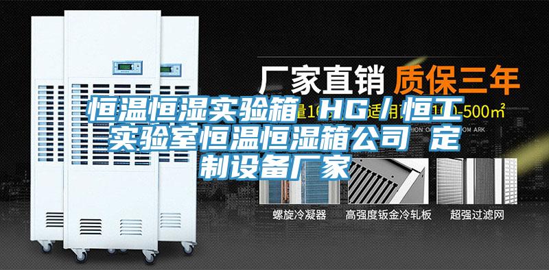 恒溫恒濕實驗箱 HG/恒工 實驗室恒溫恒濕箱公司 定制設備廠家