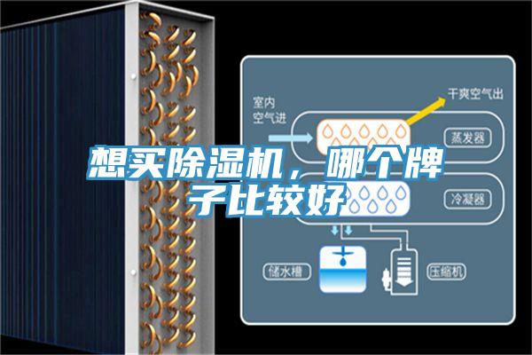 想買除濕機，哪個牌子比較好