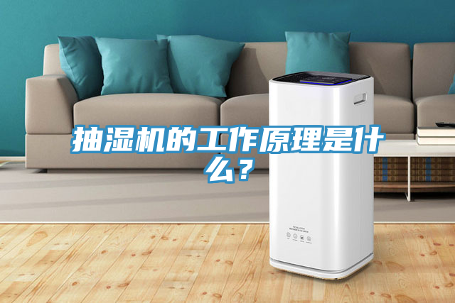 抽濕機的工作原理是什么?