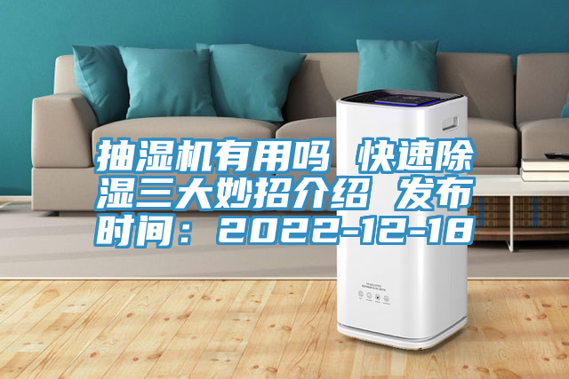 抽濕機有用嗎 快速除濕三大妙招介紹 發(fā)布時間:2022-12-18