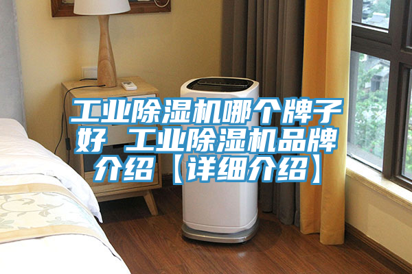 工業(yè)除濕機哪個牌子好 工業(yè)除濕機品牌介紹【詳細(xì)介紹】