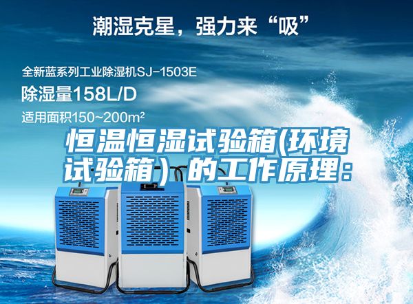恒溫恒濕試驗箱(環(huán)境試驗箱)的工作原理: