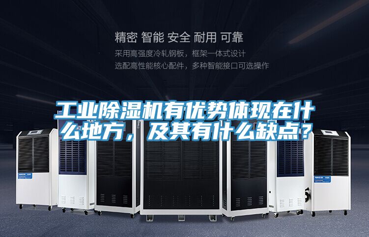 工業除濕機有優勢體現在什么地方,及其有什么缺點?