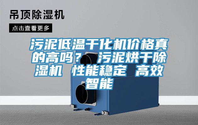 污泥低溫干化機(jī)價(jià)格真的高嗎？ 污泥烘干除濕機(jī) 性能穩(wěn)定 高效智能