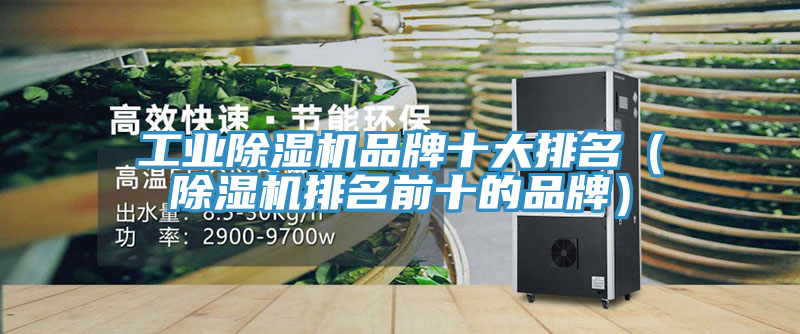 工業除濕機品牌十大排名(除濕機排名前十的品牌)