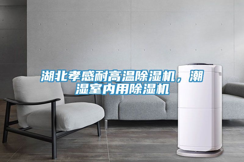湖北孝感耐高溫除濕機,潮濕室內用除濕機
