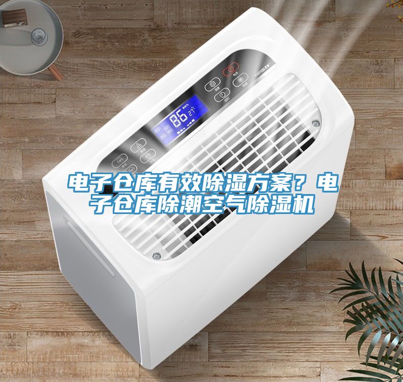 電子倉庫有效除濕方案？電子倉庫除潮空氣除濕機(jī)