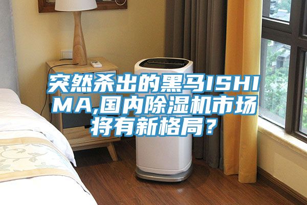突然殺出的黑馬ISHIMA,國(guó)內(nèi)除濕機(jī)市場(chǎng)將有新格局?