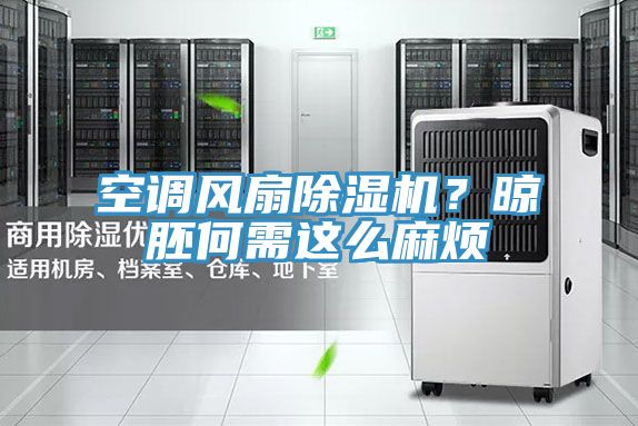 空調(diào)風(fēng)扇除濕機(jī)?晾胚何需這么麻煩
