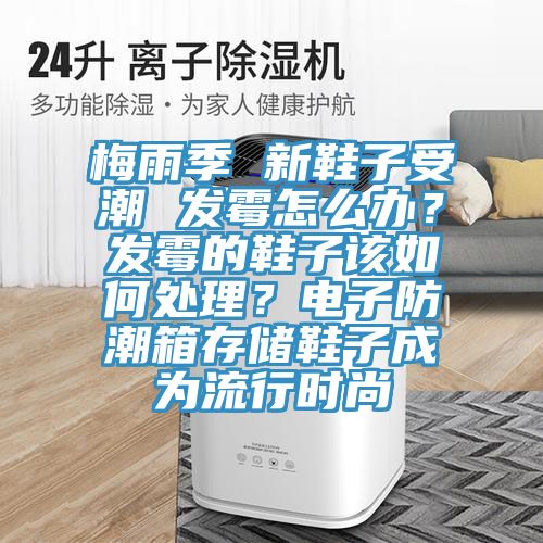 梅雨季 新鞋子受潮 發霉怎么辦？發霉的鞋子該如何處理？電子防潮箱存儲鞋子成為流行時尚