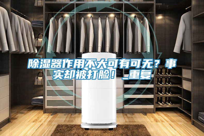 除濕器作用不大可有可無？事實卻被打臉！_重復