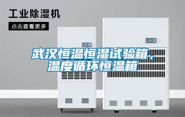 武漢恒溫恒濕試驗箱,溫度循環(huán)恒溫箱