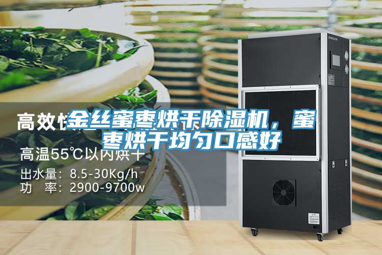 金絲蜜棗烘干除濕機(jī)，蜜棗烘干均勻口感好