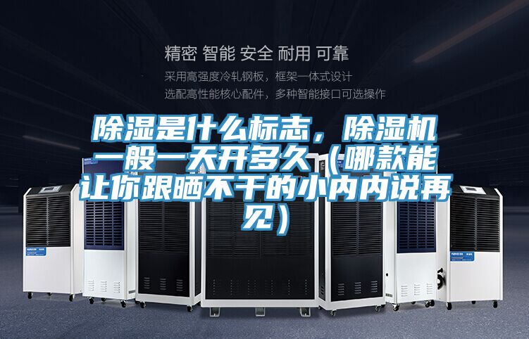 除濕是什么標(biāo)志,除濕機(jī)一般一天開多久(哪款能讓你跟曬不干的小內(nèi)內(nèi)說再見)