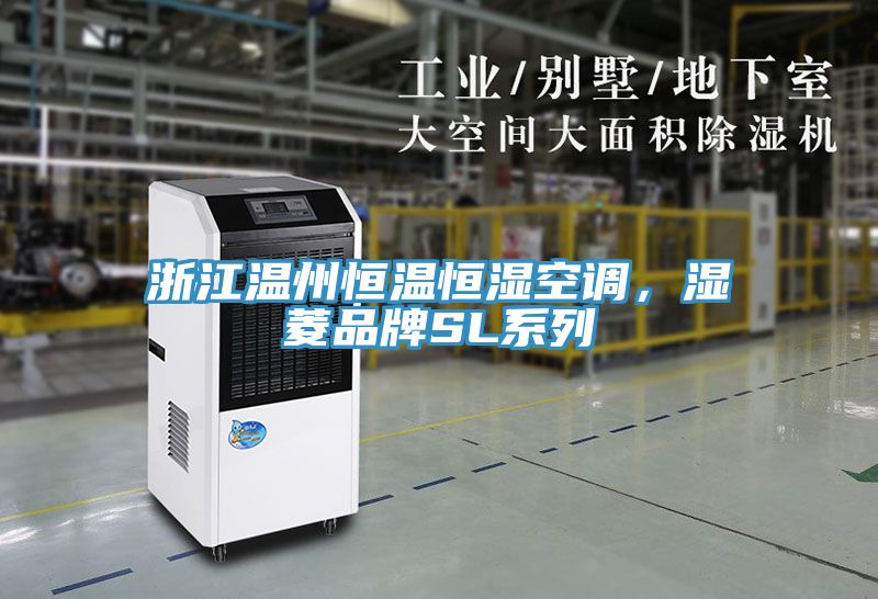 浙江溫州恒溫恒濕空調,濕菱品牌SL系列