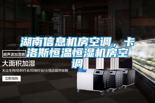 湖南信息機房空調，卡洛斯恒溫恒濕機房空調