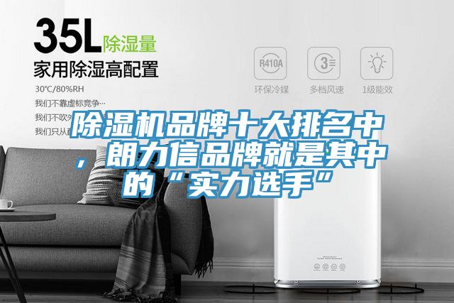 除濕機品牌十大排名中，朗力信品牌就是其中的“實力選手”