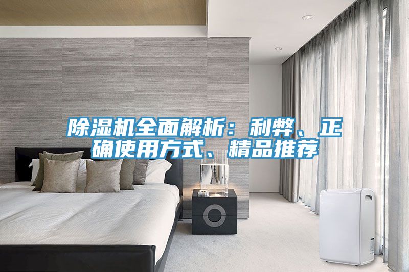 除濕機全面解析:利弊、正確使用方式、精品推薦