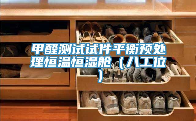 甲醛測試試件平衡預(yù)處理恒溫恒濕艙(八工位)