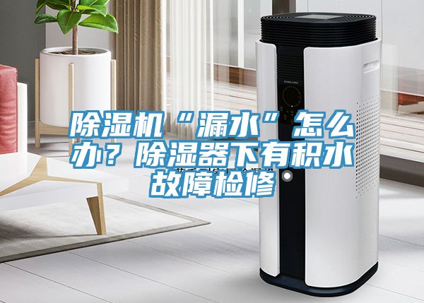 除濕機“漏水”怎么辦？除濕器下有積水故障檢修
