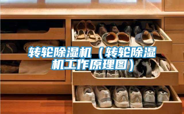 轉(zhuǎn)輪除濕機(jī)(轉(zhuǎn)輪除濕機(jī)工作原理圖)